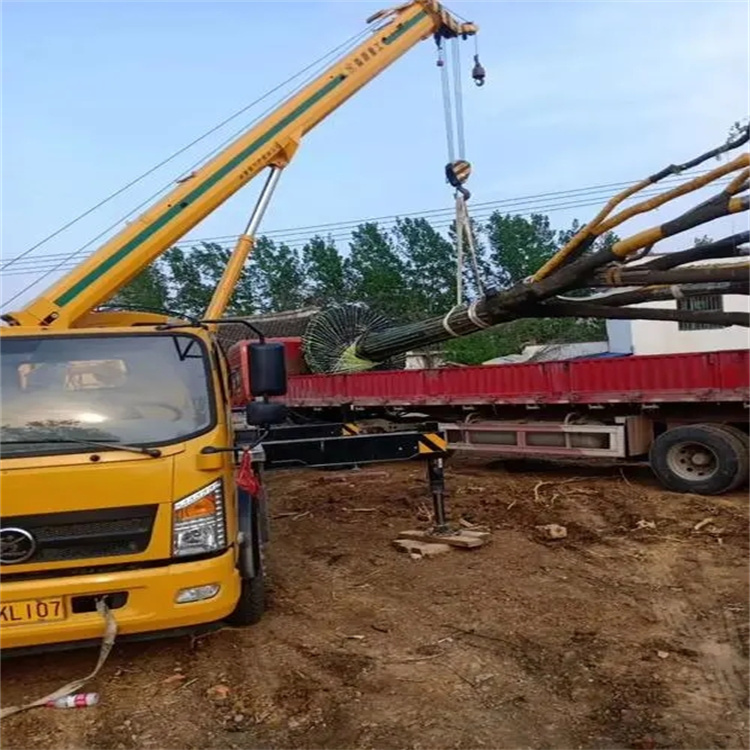 汉阳100吨吊车租赁费用怎么算？3大关键因素+省钱技巧全解析